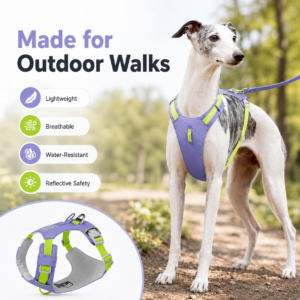 Lightweight Quick-Dry Dog Harness for Dogs CW-004 相册4