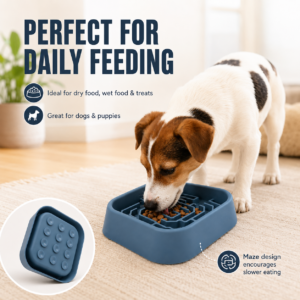 Ceramic-Style Pet Feeding Bowl - Rounded bowl shape CW-021 相册5