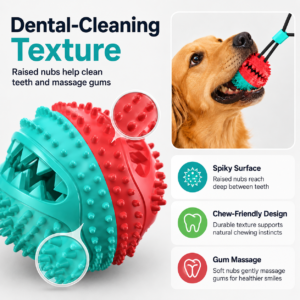 Dog Toothbrush Chew Toy for Dogs CW-057 相册2