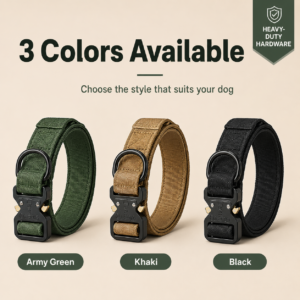 Heavy-Duty Dog Collar for Dogs CW-060 相册3
