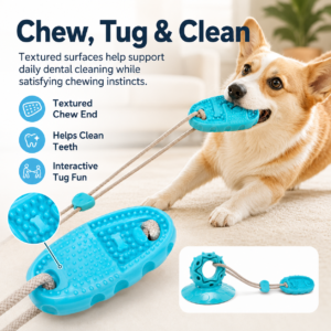 Suction Cup Tug Dog Toy for Dogs CW-061 相册5