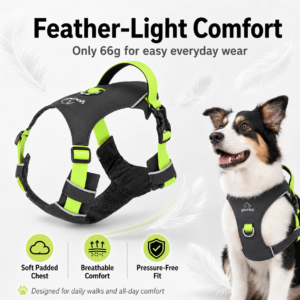 Anti-Escape Dog Harness with Handle for Dogs CW-063 相册1