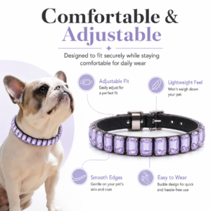Rhinestone PU Pet Collar - Decorative rhinestone style CW-064 相册3
