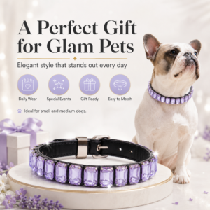 Rhinestone PU Pet Collar - Decorative rhinestone style CW-064 相册5