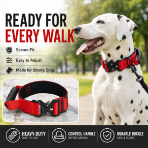 Tactical Dog Collar for Dogs CW-065 相册3