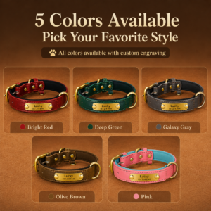 Engraved Nameplate Dog Collar for Dogs CW-067 相册4