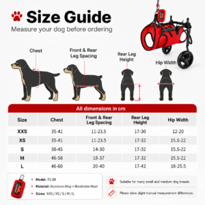 Small Dog Rehabilitation Wheelchair for Dogs CW-090 相册4