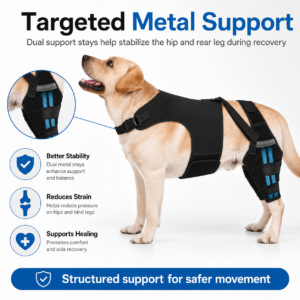 Dog Rear and Back Support Brace for Dogs CW-108