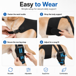 Dog Rear and Back Support Brace for Dogs CW-108 相册4