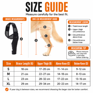 Dog Leg Injury Support Sleeve for Dogs CW-113 相册3