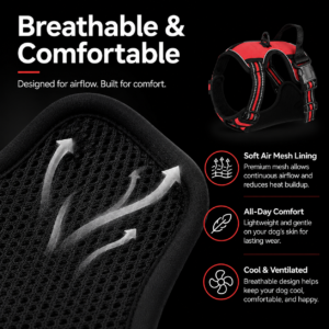 Reflective Anti-Pull Dog Harness Set for Dogs CW-123 相册3