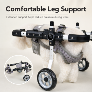 Small Dog and Cat Mobility Wheelchair for Cats And Dogs CW-150 相册2
